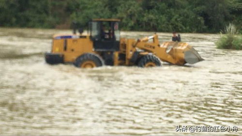 龙江边钓鱼突遇洪水被困江中,铲车师傅不顾安危驾车冲入水中救人