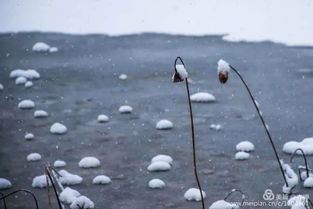 摄影师镜头下的莱阳大片 水墨 雪