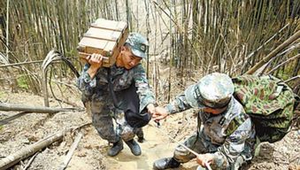 直击 中越边境的 地雷村 大扫雷,为何要用不用机器扫雷