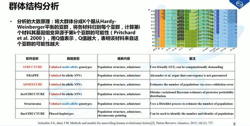 亲缘系数计算原理 CSDN 