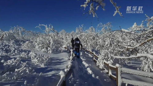 豪气 东北的雪 漫山遍野