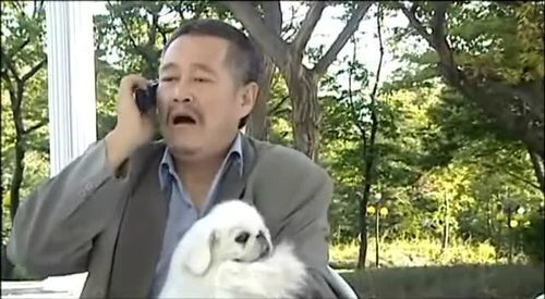 刘老根 刘老根还不如一条狗,媳妇指使他去遛狗,还给狗配个电话 