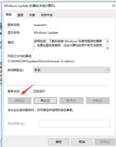 win10专业版显示文件后需要手动刷新