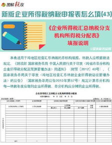 企业所得税汇总纳税总分支机构信息表怎么填 