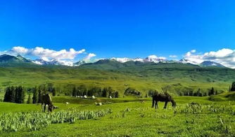 自驾去西藏是旅游爱好者的最爱
