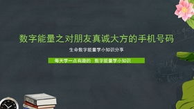 数字能量手机号码之容易引起肝肾泌尿系统问题的号码