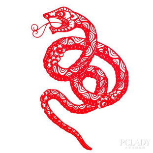 属蛇的几月出生最不好 蛇 生肖运势 太平洋时尚网 