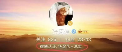 李易峰代言三无产品,被逼赚钱的他也要糊了