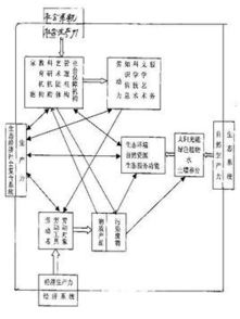 生产力与生产关系矛盾运动规律的规律应用