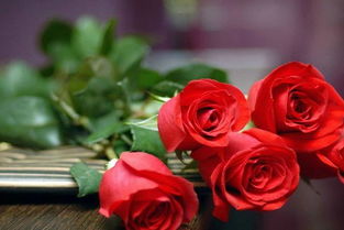 5朵玫瑰代表什么花语 男人送5朵玫瑰花好吗