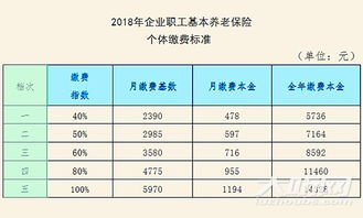 养老保险缴费档次(养老保险分几个档)