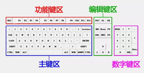 键盘字母练习