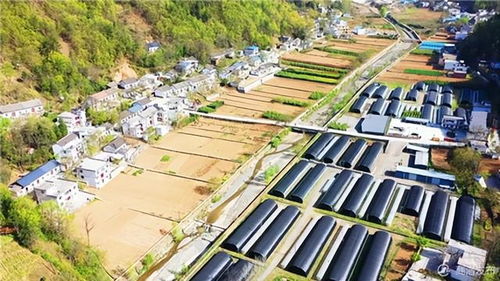 陕西商洛山阳十里铺街道天气预报