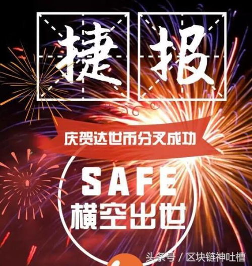 safe币能成功吗,生态体系构建——根基稳固否？