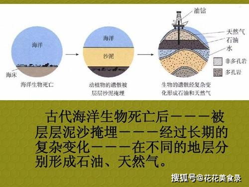 煤炭和石油的关系??