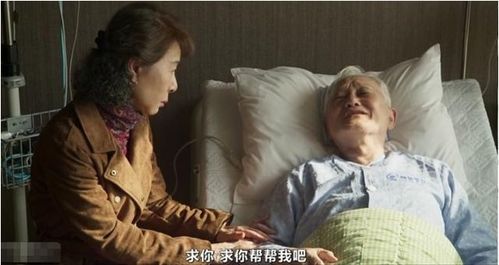 酒神小姐 让情欲暴露与阳光下,65岁性工作者,撕开人性的面具