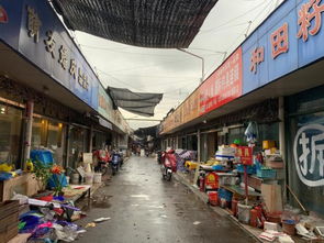 五角场花鸟市场关闭 上海的花鸟市场都留不住了吗