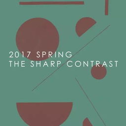 YUANSHANGER c 2017春夏 经典黑白 THE SHARP CONTRAST 凝脂点漆