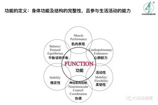 一张图告诉你运动康复主要的做什么