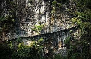 石门仙湖景区在哪里石门仙湖门票优惠政策(石门栈道景区停车场收费标准表)