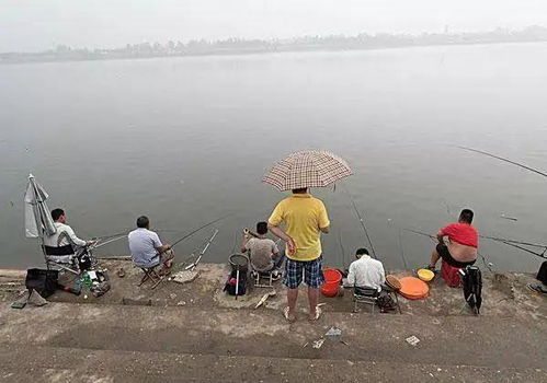 老人违规钓鱼,渔具被折断扔进水中 禁渔和钓鱼必须存在矛盾吗