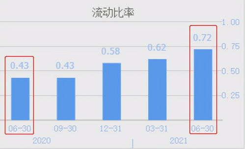 炒股说明书查重：提升内容质量的关键一环