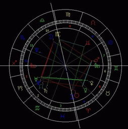 在新浪星座网上星辰命盘应怎样看 图里面涉及金星等天体的位置 