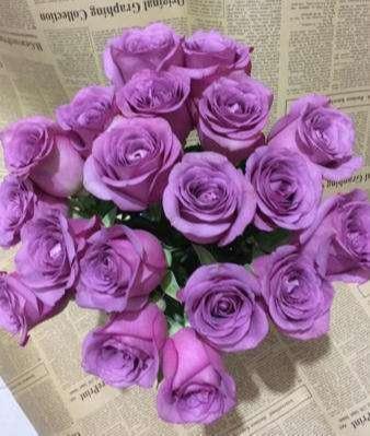 紫玫瑰的花语和寓意
