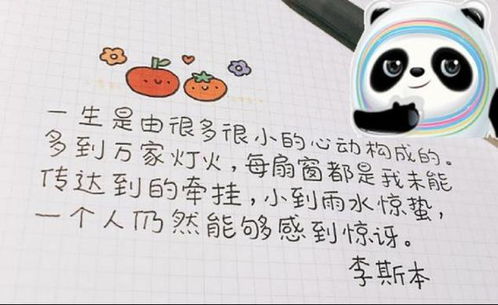 网红字体特点(网红字体是什么体)