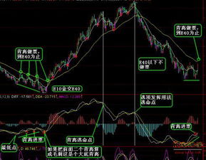 股票日线和macd顶背离，但macd水上金叉，涨还是跌？