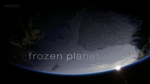 BBC 冰冻星球 Frozen Planet 1 