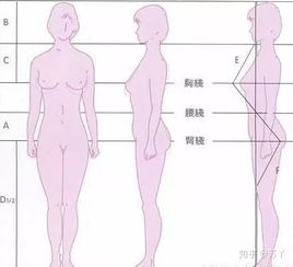 女生体脂率28的照片 搜狗图片搜索