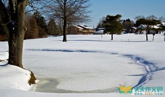 描写冬天大雪和柳树的句子