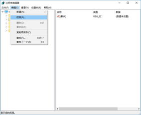 win10注册表元设置