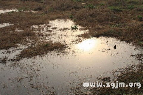 梦见一滩死水