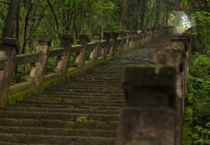 成都周边哪里有寺庙可以爬山可以吃斋饭的 (成都普照寺有免费停车场吗)