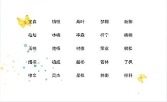 木字旁男孩取名 300个清新俊逸的好名字