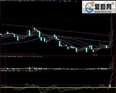 大智慧L2 中不小心把一个股票的均线图给删了，如何找回？