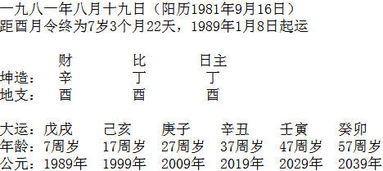 范冰冰坐牢可能性不太大 