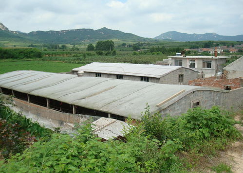 养殖场究竟能不能建在永久基本农田上 怎样报批才不算违建