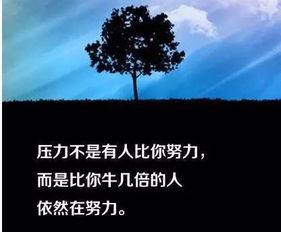 励志狠句子,走进灵魂深处的励志句子？