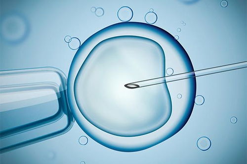 试管婴儿过程中关于促排、取卵的几个常见误区？