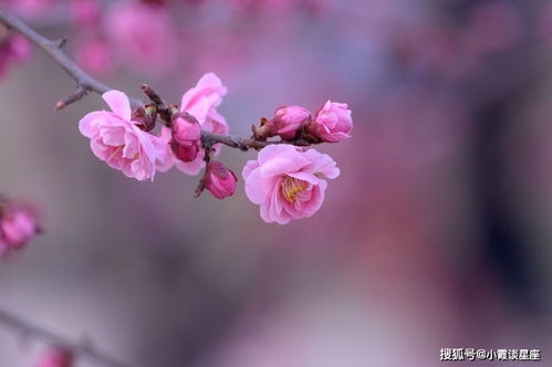 命格很好 的3个生肖,脾气差劲却很旺夫,一生不缺钱不缺爱