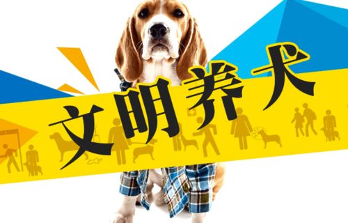 遛狗新规定,不栓绳违法 鹤壁五部门联合发布文明养犬倡议书