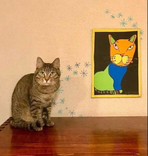 小男孩给猫画画,画完后还做成装饰墙,很有画感