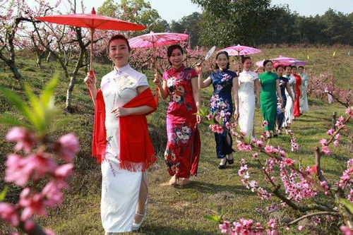 安徽芜湖 山水平铺 云赏桃花