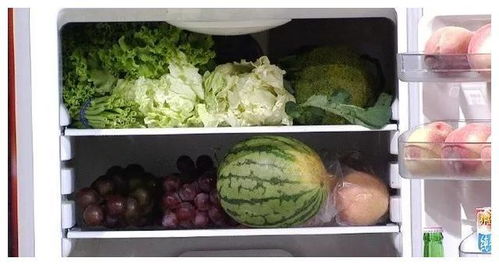 致癌菜 扔掉也别放冰箱 一张图看懂食物几天变质