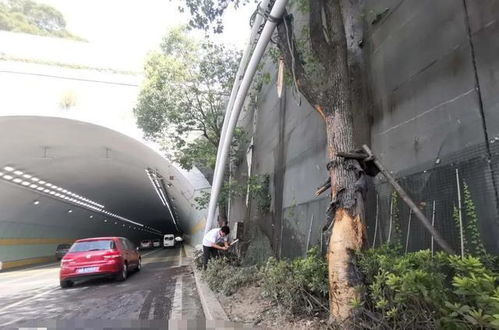 福建发生一起严重交通事故,位于福州市,场面令人揪心