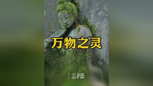 人为何是万物之灵