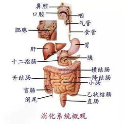 科普 想吃生肉 先看看这些照片 慎点